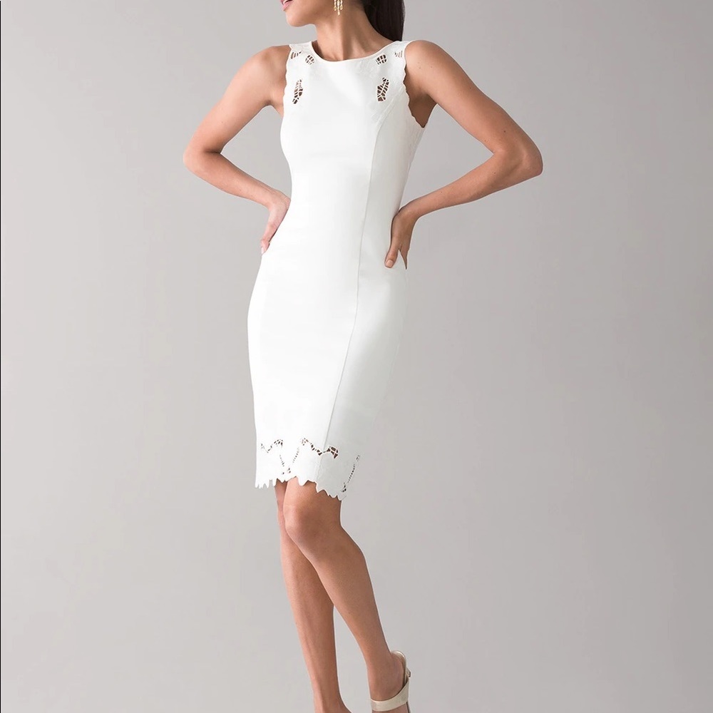 NWT WHBM Dress